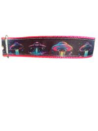 Neon UFO Nylon Dog Collar