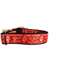 My Human Is My Valentine Nylon Dog Collar