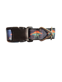 Orange UFO Nylon Dog Collar