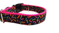 Neon Bones Nylon Dog Collar MD, LG, XL, Leash