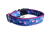 Flamingos Nylon Dog Collar