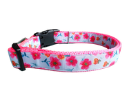 Bright Flowers Nylon Dog Collar
