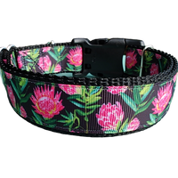 Protea Flower Nylon Dog Collar