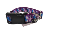 Fantasy Dragon Nylon Dog Collar