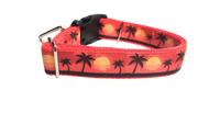 Beach Sunsets Nylon Dog Collar