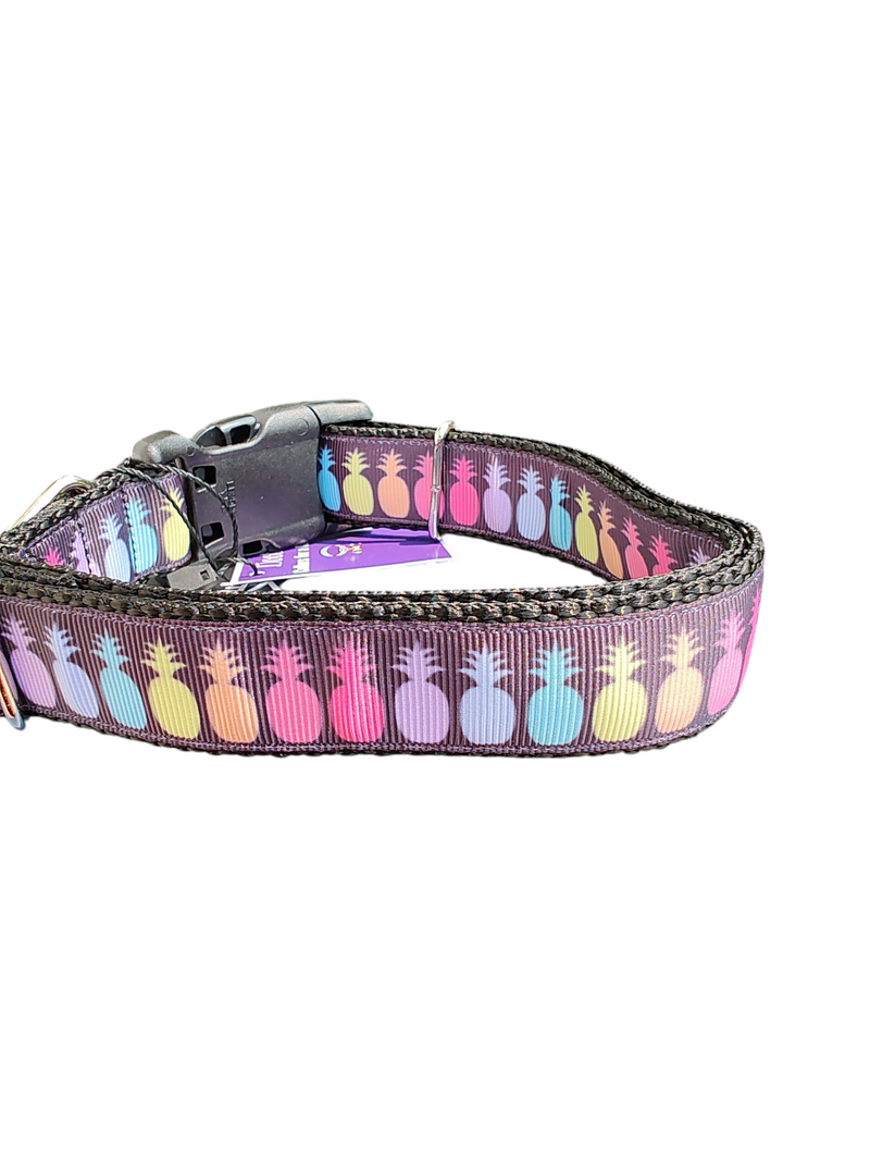Rainbow Pineapples Nylon Dog Collar-Dog Collar / Leash-BIG FRENCHIES-Doot's Pet LLC Collars For A Cause