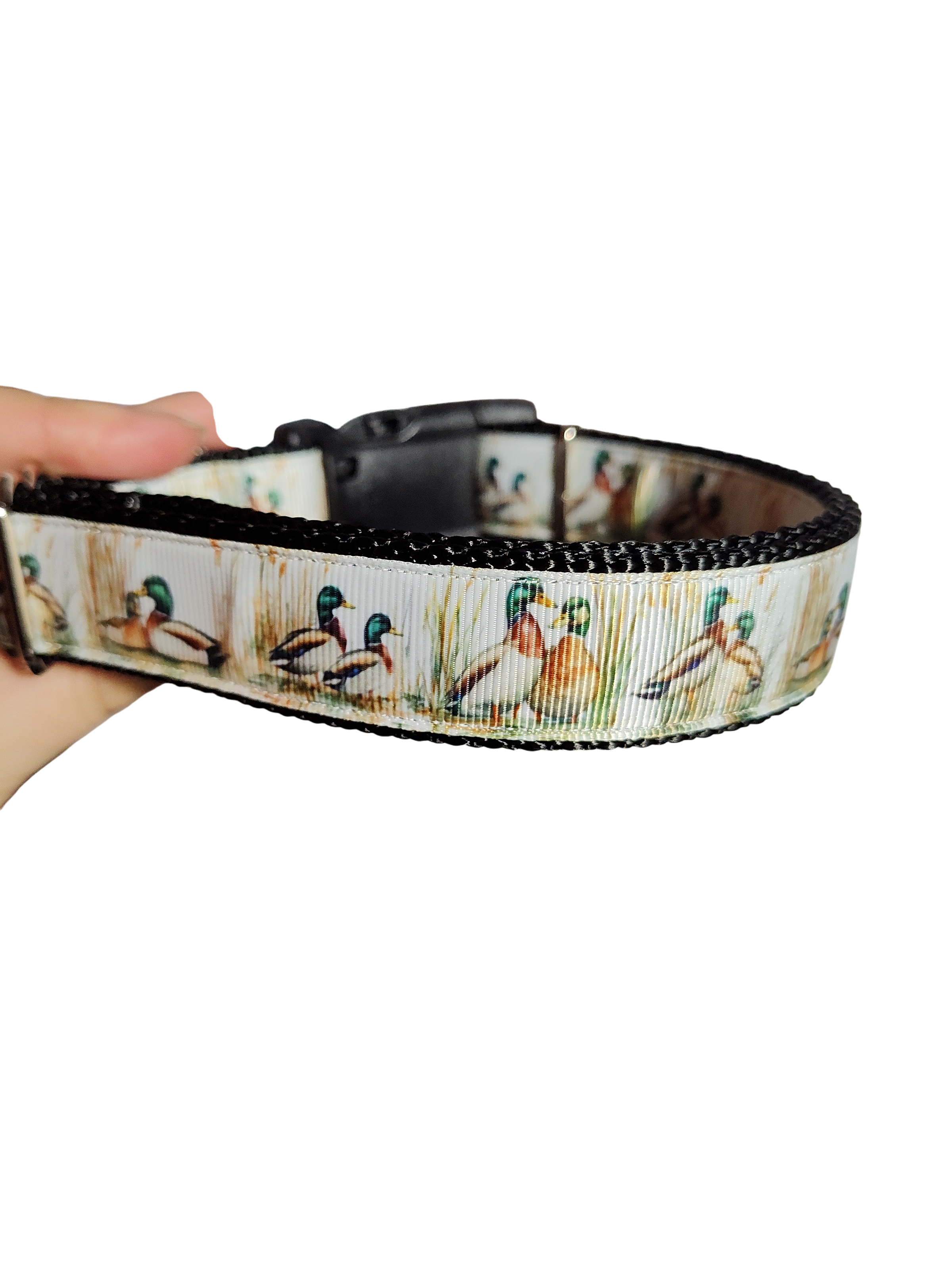 Mallard Duck Pair Nylon Dog Collar