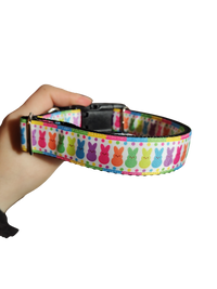 Rainbow Marshmallow Bunnies Easter Nylon Dog Collar