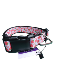 Strawberry Flowers Black Nylon Dog Collar MD, LG, XL, Leash