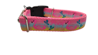 Pool Hair Don't Care Nylon Dog Collar