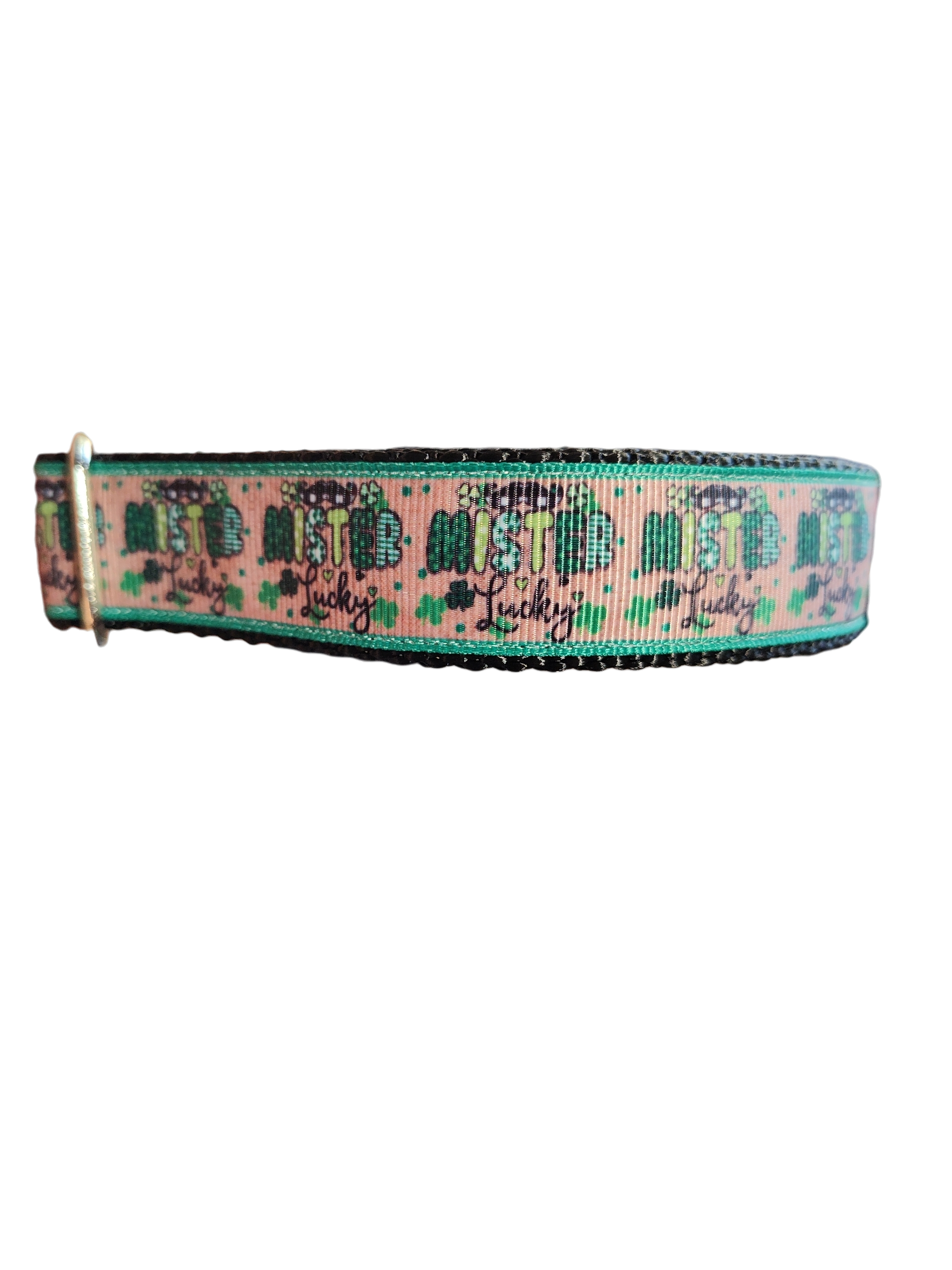 Mister Lucky Nylon Dog Collar