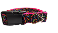 Neon Bones Nylon Dog Collar MD, LG, XL, Leash