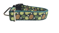 Kiwi Fruit Nylon Dog Collar