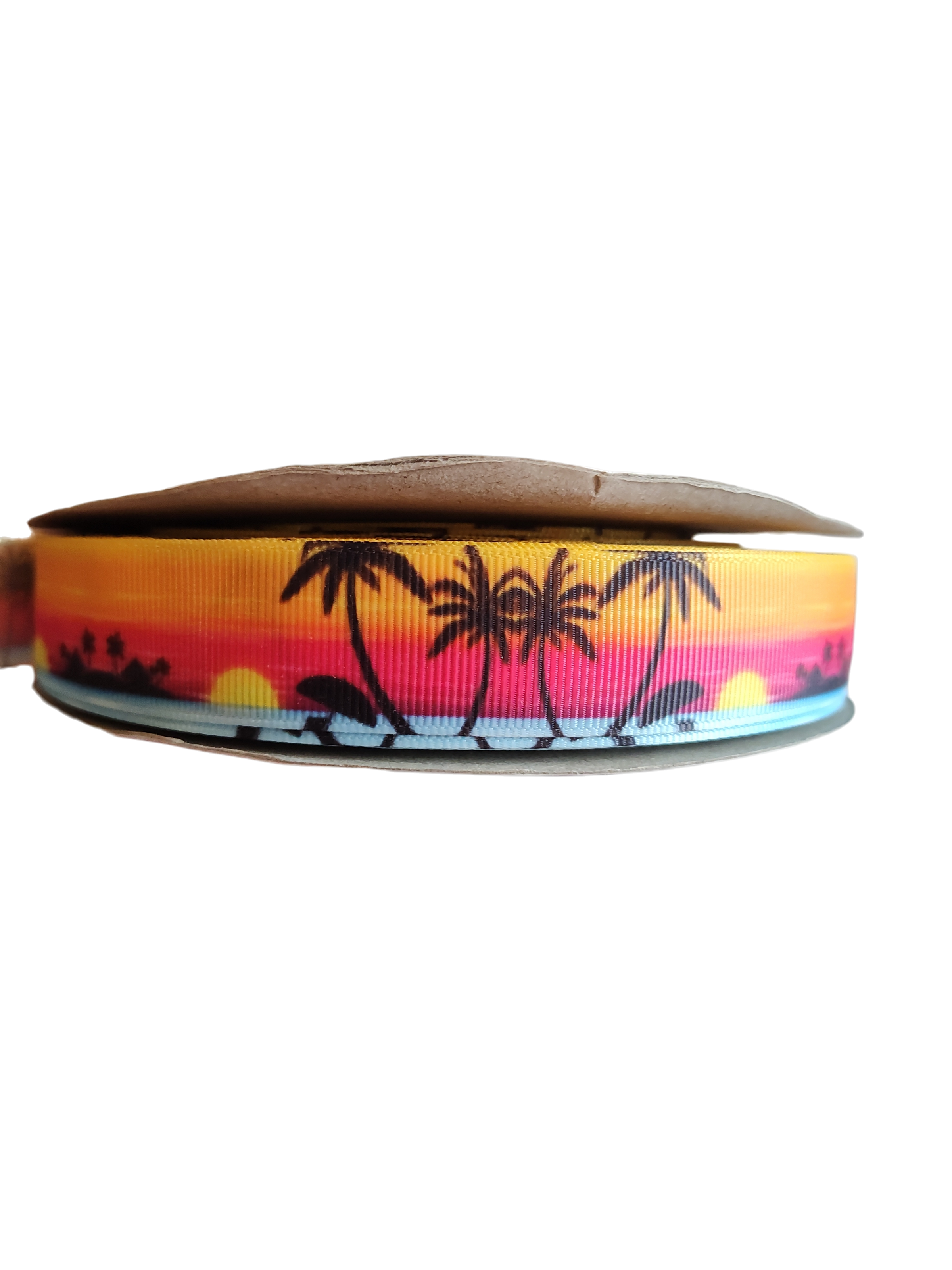 Neon Sunsets Nylon Dog Collar