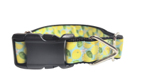 Lemons Nylon Dog Collar