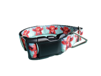 Highland Cows Nylon Dog Collar