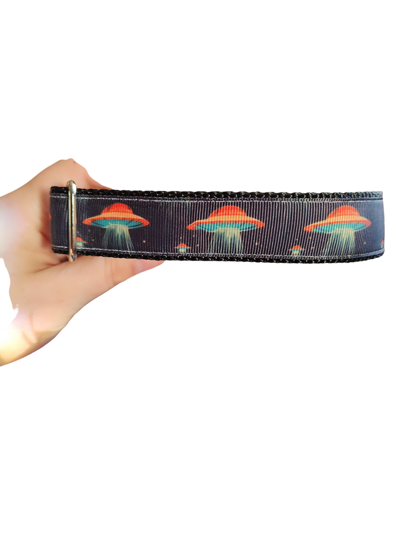 Orange UFO Nylon Dog Collar-Dog Collar / Leash-BIG FRENCHIES-Doot's Pet LLC Collars For A Cause