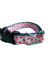 Strawberry Flowers Green Nylon Dog Collar MD, LG, XL, Leash