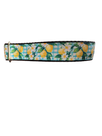 Gingham Lemons Nylon Dog Collar