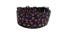 1.5" Wide Colorful Pawprints Nylon Dog Collar