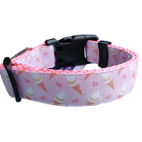 Ice Cream Pink Nylon Dog Collar MD, LG, XL, Leash