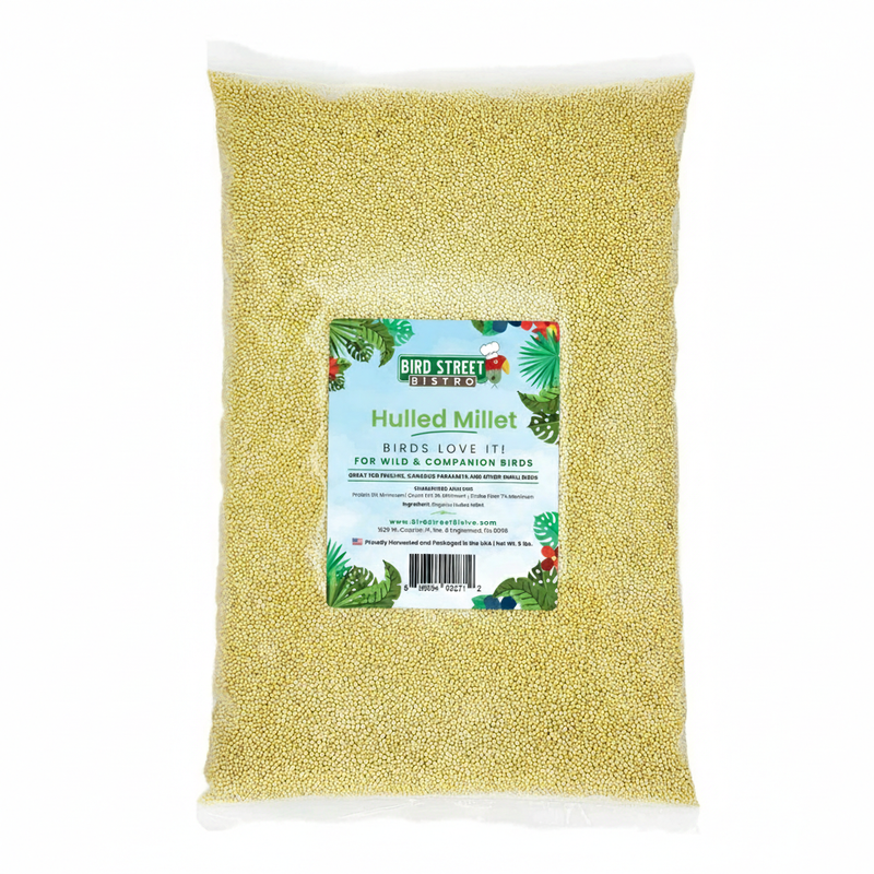 Hulled Millet - 5 lbs.-Bird Supplies-BIG FRENCHIES-Bird Street Bistro
