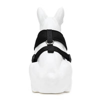 EcoBark Black Dog Harness - Over-the-Head Dog Vest Halter Dog for Small to Medium Dogs and Puppies - BIG FRENCHIES