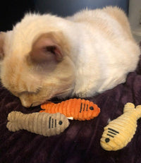 HuggleKats® Sardinies Cat Toys, 3 Pack - BIG FRENCHIES