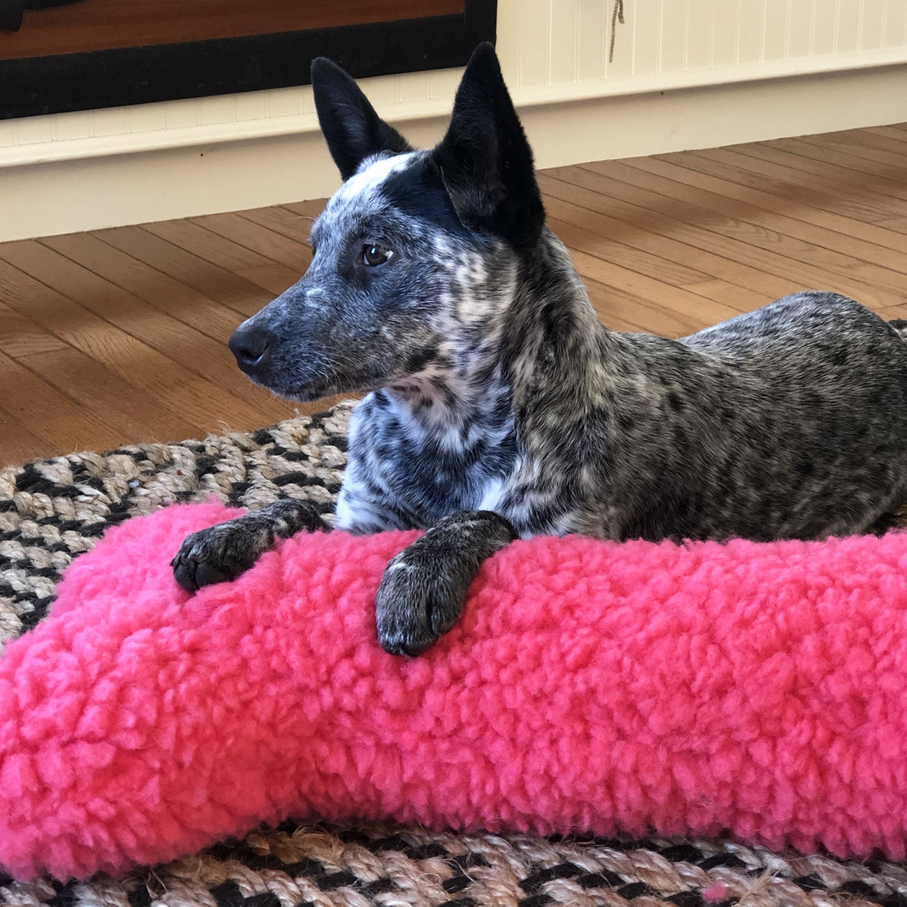 HuggleCause™, Living Beyond Breast Cancer, HuggleFleece® Pink Bones - BIG FRENCHIES