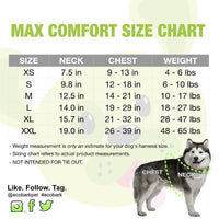 EcoBark Nautical Dog Harness - Over-the-Head Soft Mesh Vest Halter for Small to Medium Dogs - BIG FRENCHIES