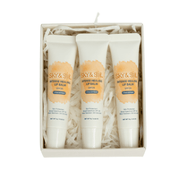 Sky and Sol Lip Jelly SPF 25 (Pack of 3) - BIG FRENCHIES