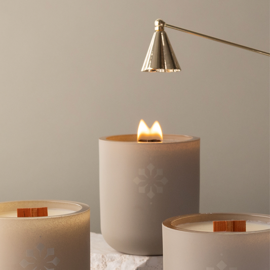 Candle Snuffer & Wick Trimmer Duo - BIG FRENCHIES