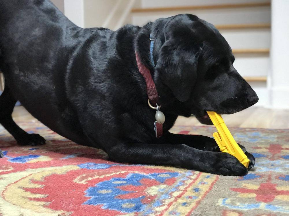 Pipe Wrench Nylon Dog Toy for Aggressive Chewers | USA Made | SodaPup - BIG FRENCHIES