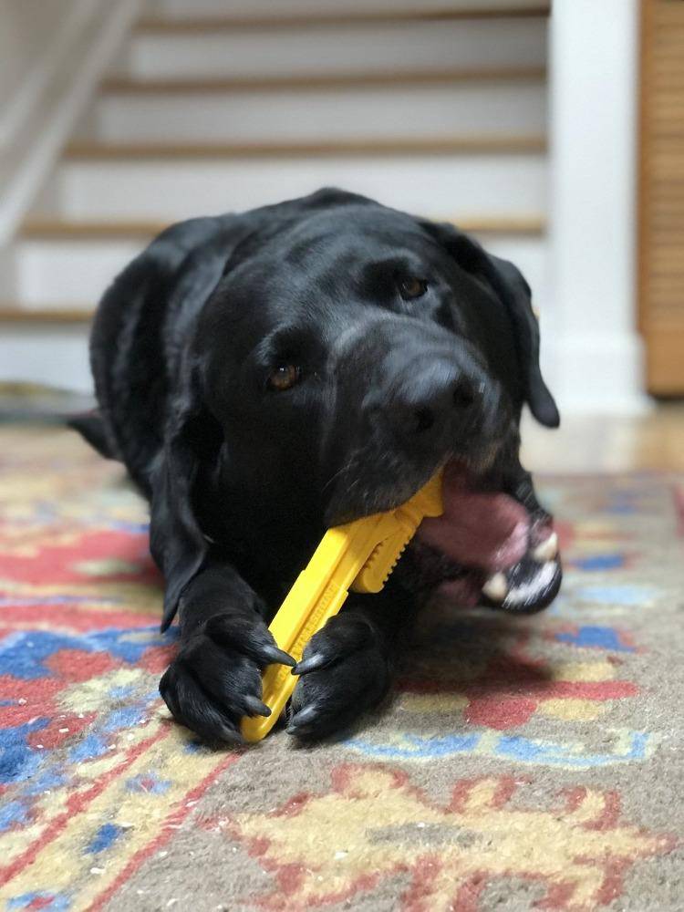 Pipe Wrench Nylon Dog Toy for Aggressive Chewers | USA Made | SodaPup - BIG FRENCHIES