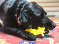 Tractor Nylon Dog Toy for Aggressive Chewers | USA Made | SodaPup - BIG FRENCHIES