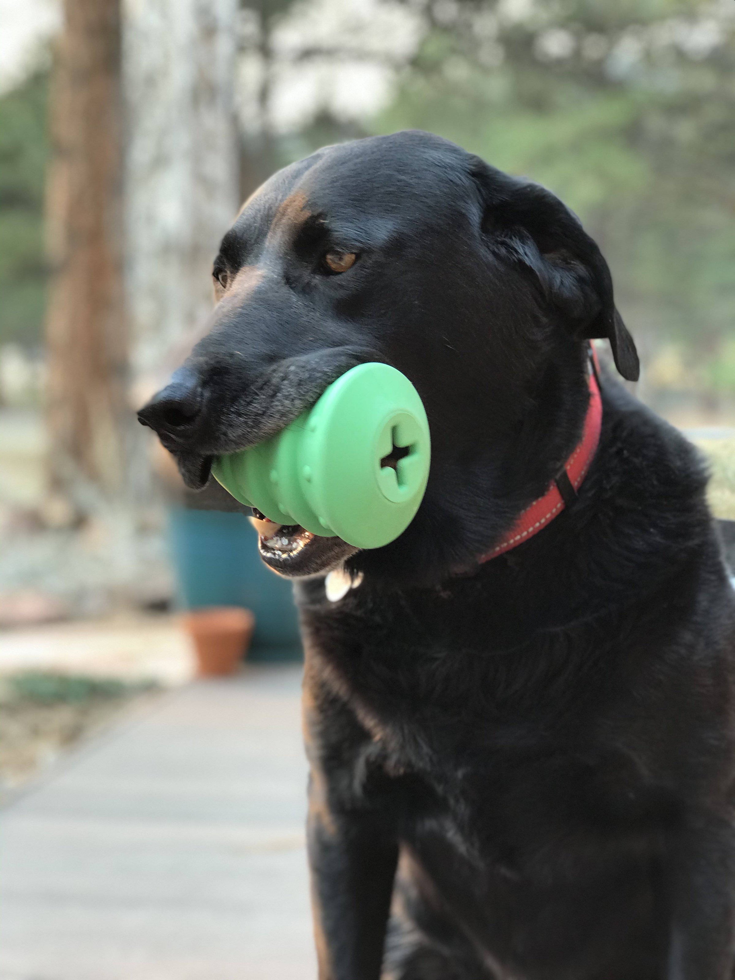 Christmas Tree Dog Toy - Durable Rubber Chew Toy for Large Dogs | USA Made - BIG FRENCHIES