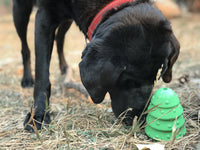 Christmas Tree Dog Toy - Durable Rubber Chew Toy for Large Dogs | USA Made - BIG FRENCHIES