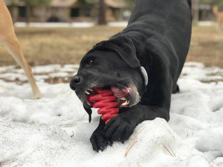 Christmas Tree Nylon Dog Chew Toy for Aggressive Chewers | USA Made & FDA Compliant - BIG FRENCHIES