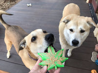 Colorado Maple Leaf Nylon Dog Chew Toy for Aggressive Chewers | USA Made - BIG FRENCHIES