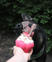 Cupcake eDispenser - Durable Rubber Chew Toy & Treat Dispenser | USA Made - BIG FRENCHIES