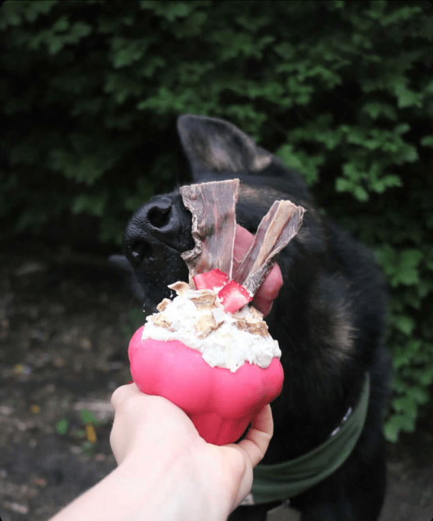 Cupcake eDispenser - Durable Rubber Chew Toy & Treat Dispenser | USA Made - BIG FRENCHIES