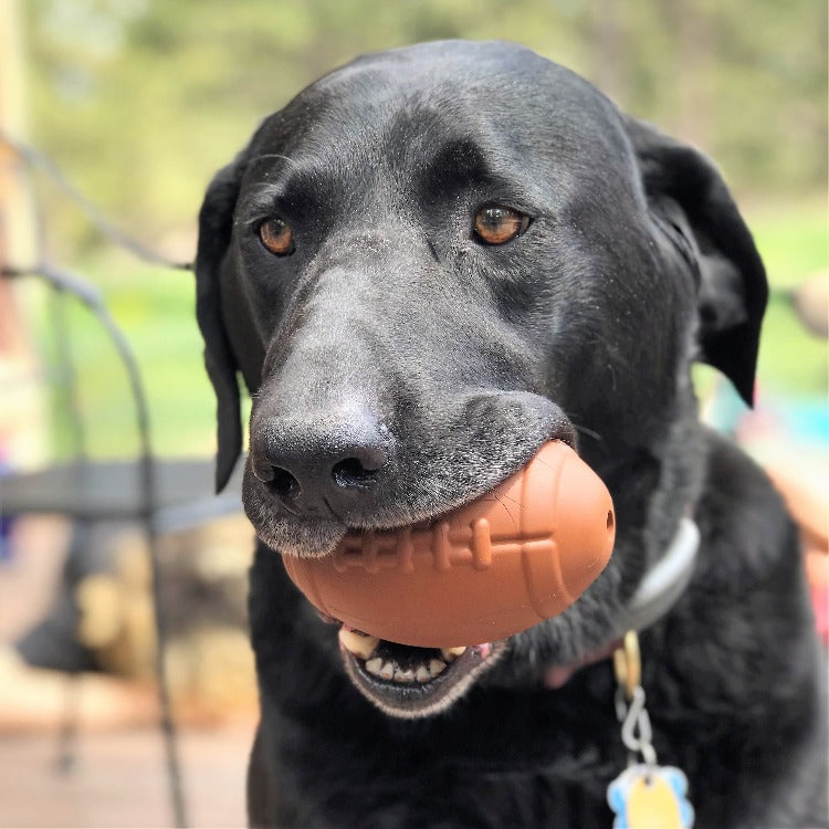 Football Dog Chew Toy & Treat Dispenser - USA Made | SodaPup - BIG FRENCHIES