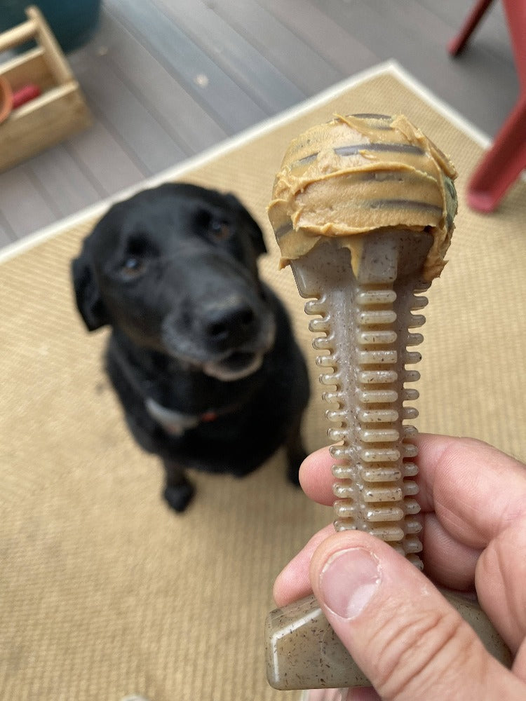 Honey Bone Dental Tower Nylon Chew Toy for Aggressive Chewers | USA Made - BIG FRENCHIES