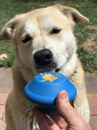 Flying Saucer Dog Toy - Durable UFO Chew Toy & Treat Dispenser | USA Made - BIG FRENCHIES