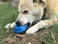 Flying Saucer Dog Toy - Durable UFO Chew Toy & Treat Dispenser | USA Made - BIG FRENCHIES