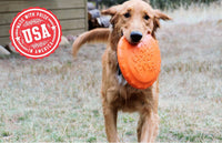 Bottle Top Flyer Rubber Frisbee for Dogs | Orange | Vet Approved | USA Made - BIG FRENCHIES