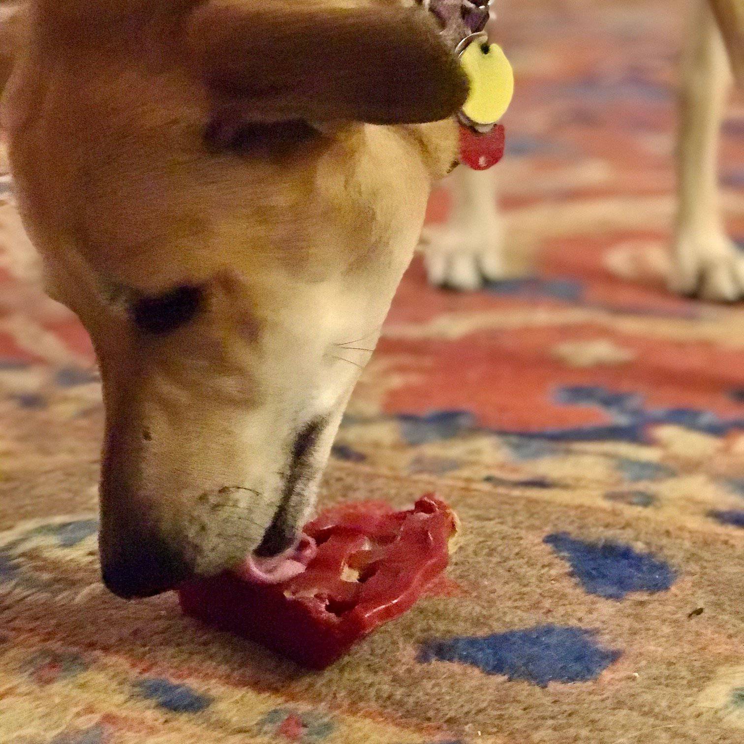Cherry Pie Nylon Dog Chew Toy for Aggressive Chewers | USA Made | SodaPup - BIG FRENCHIES