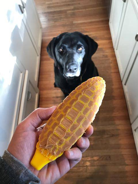 Corn on the Cob Nylon Dog Toy for Aggressive Chewers | USA Made | SodaPup - BIG FRENCHIES