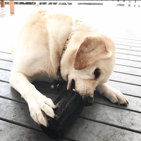 Bottle Top Flyer Rubber Frisbee for Dogs | Orange | Vet Approved | USA Made - BIG FRENCHIES