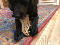 Peanut Nylon Dog Chew Toy | Ultra-Durable for Aggressive Chewers | SodaPup - BIG FRENCHIES